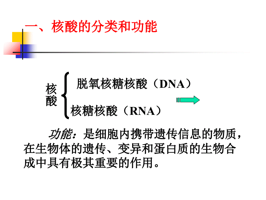 遗传信息携带者核酸PPT改课件_第3页