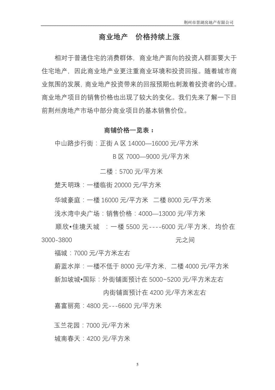 (房地产策划方案)湖北荆州景湖商业地产项目策划案精品_第5页