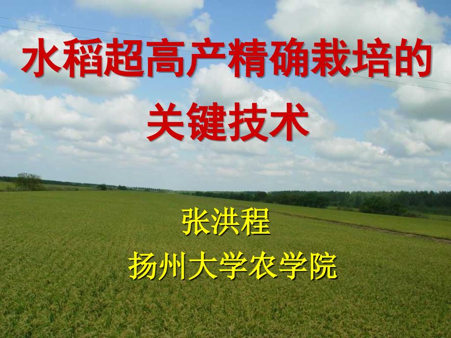 水稻超高产精确栽培的关键技术教材课程_第1页