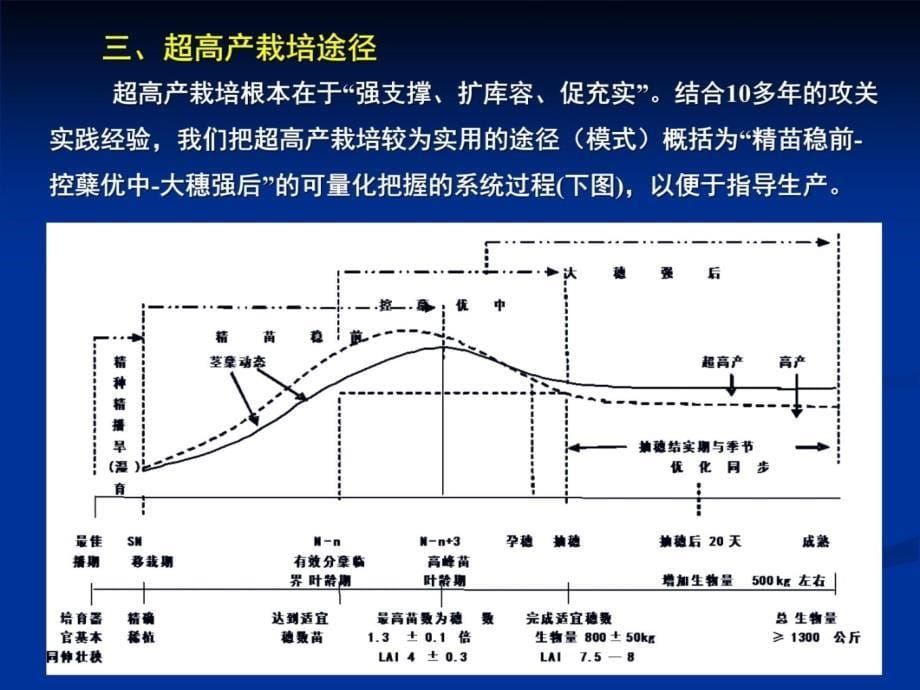 水稻超高产精确栽培的关键技术教材课程_第5页