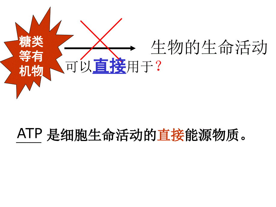 是生物体进行生命活动的主要能源物质讲解材料_第3页