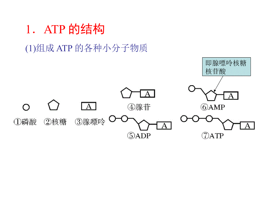 是生物体进行生命活动的主要能源物质讲解材料_第4页