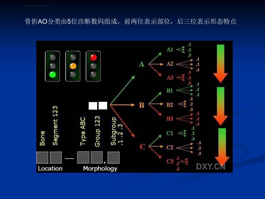 骨折的AO分型课件_第3页