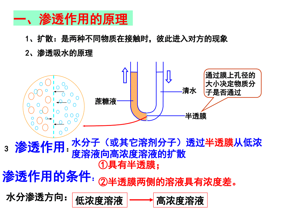 高三复习--物质跨膜运输的实例(上课用)课件_第2页