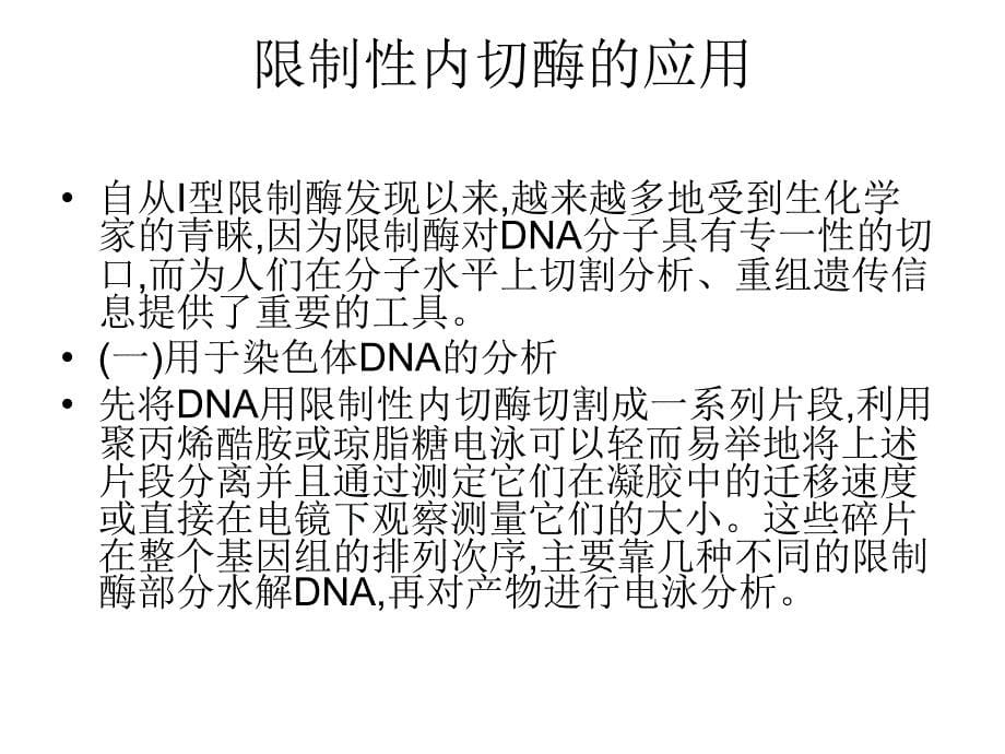 限制性核酸内切酶课件_第5页