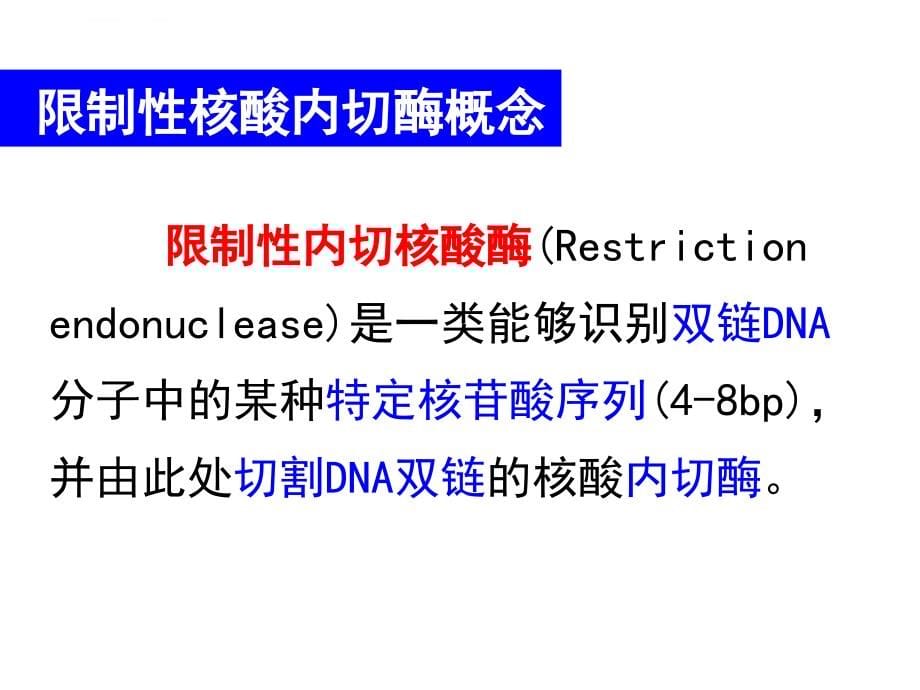 限制性核酸内切酶的命名和类型课件_第5页