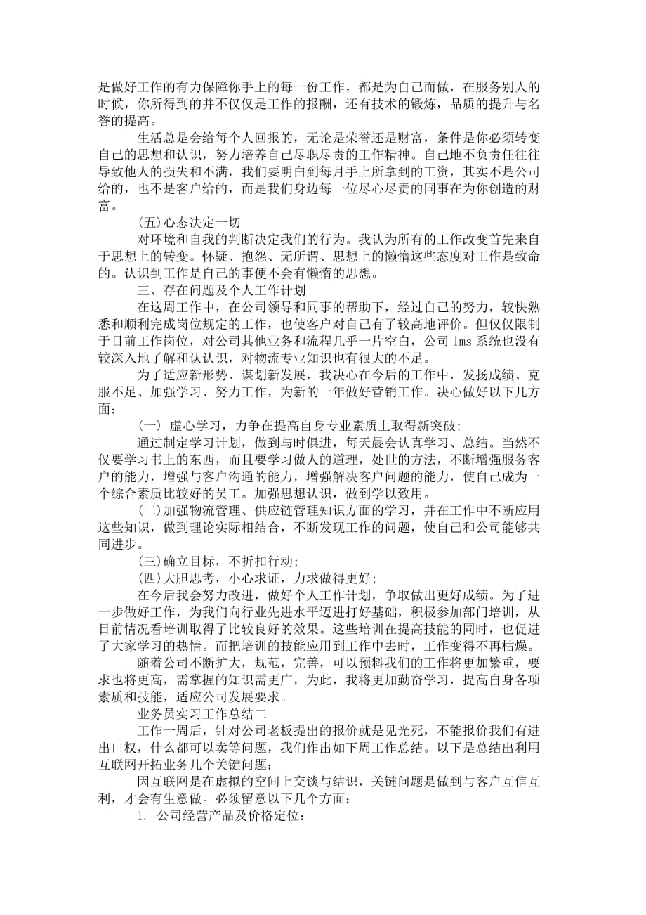 业务员实习的 工作总结_第2页