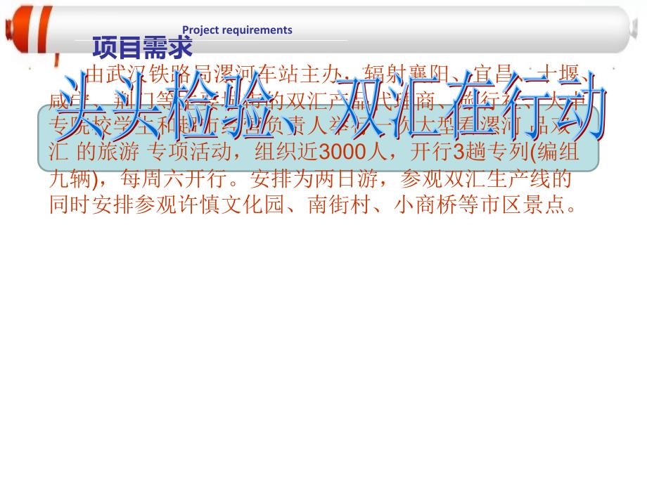 项目需求背景分析项目核心意义策略课件_第4页