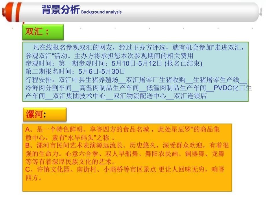 项目需求背景分析项目核心意义策略课件_第5页