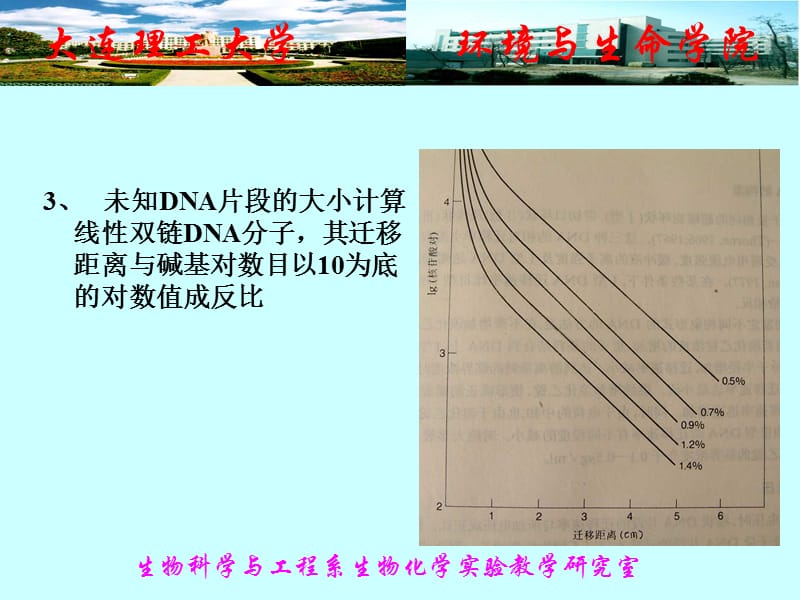 实验一DNA琼脂糖凝胶电泳教学讲义_第3页