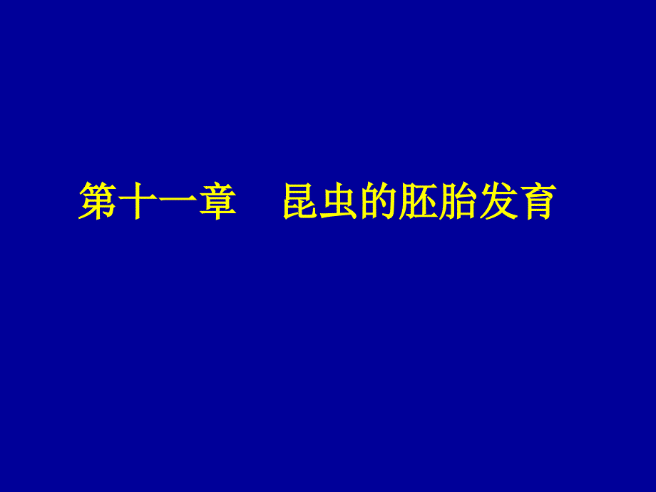 十一章昆虫的胚胎发育资料讲解_第1页