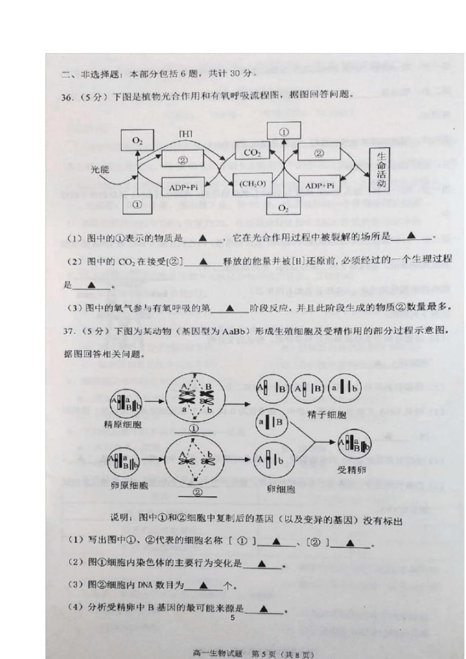 江苏省连云港市2019-2020学年高一下学期期末调研考试生物试题图片 版含答案_第5页