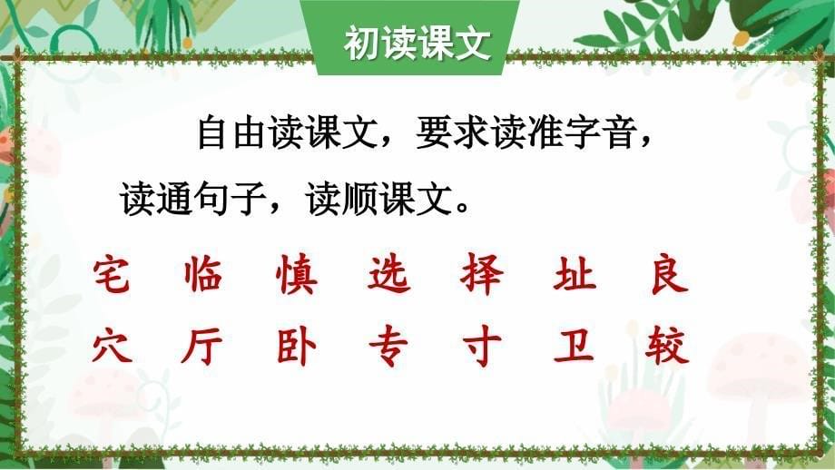 部编版小学语文四年级上册《蟋蟀的住宅》优秀课件PPT_第5页