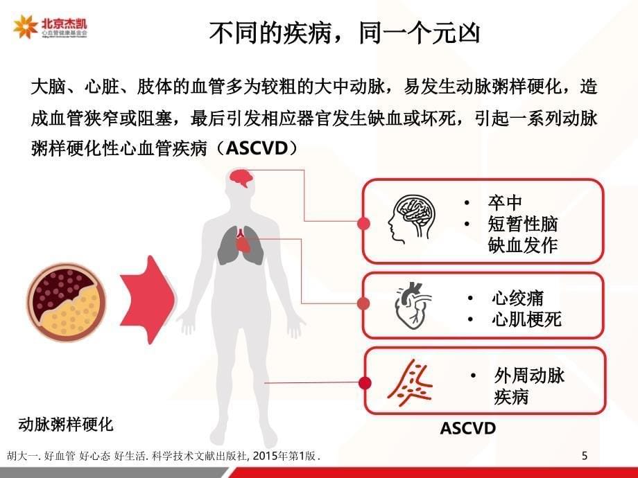 (参考)血管堵了会要命怎样才能让血管更清爽_第5页