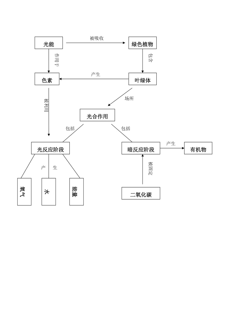 光合作用思维导图.doc_第1页