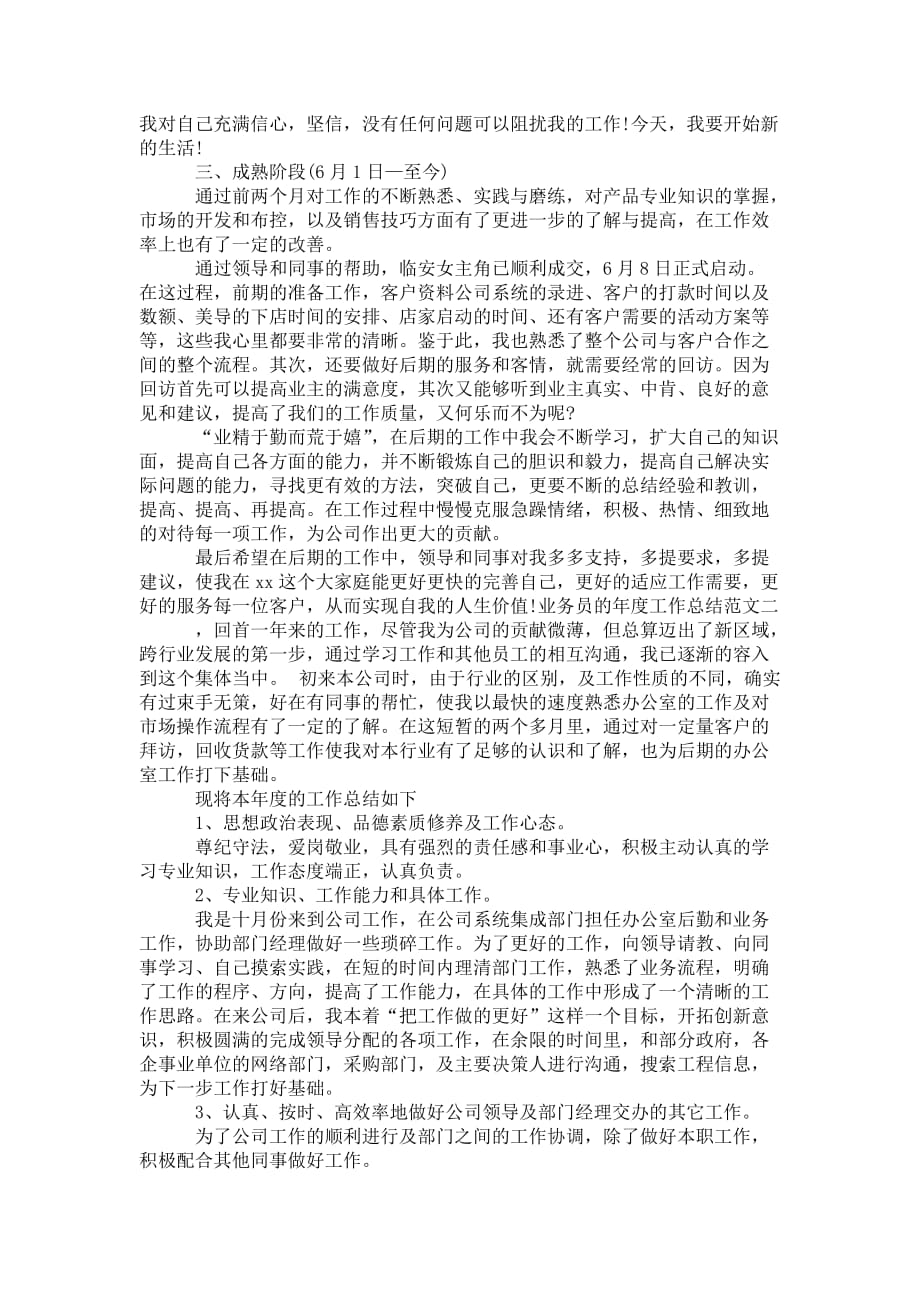 业务员的年度 工作总结_第3页