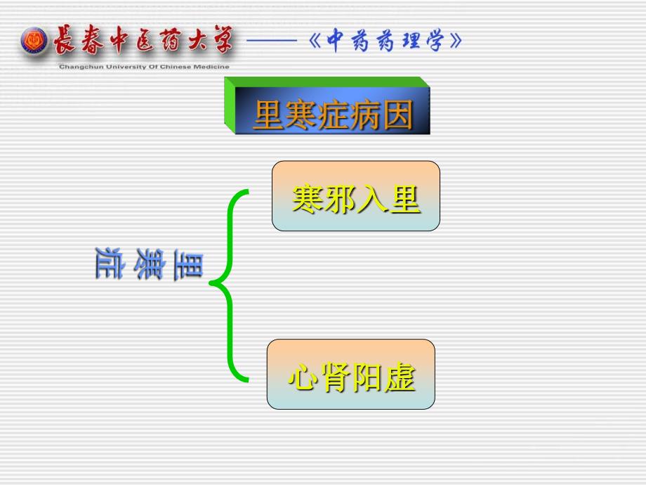 十一章温里药教学提纲_第2页