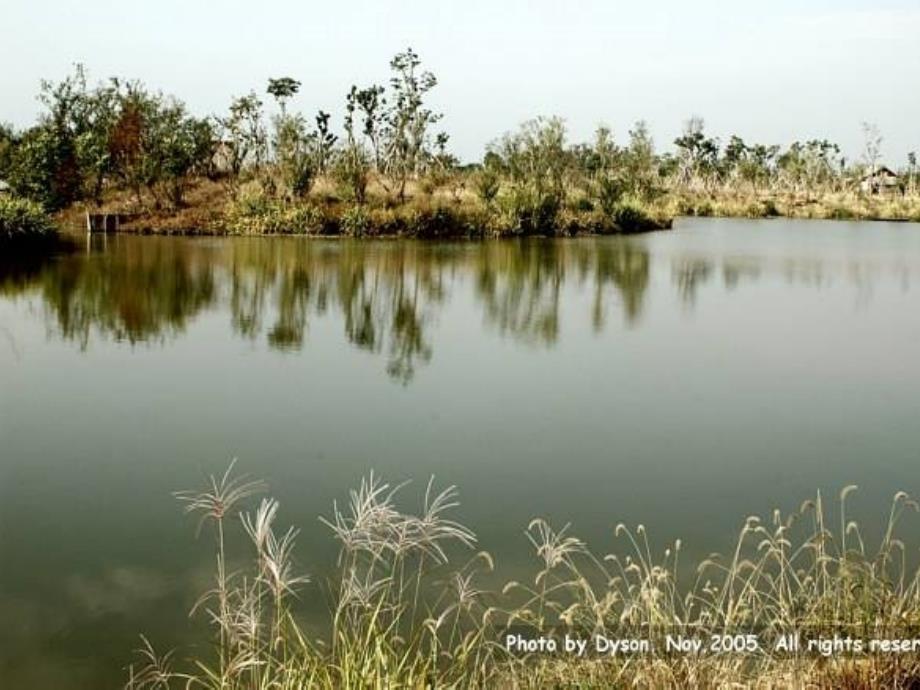 湿地资源的开发和保护教学文稿_第4页