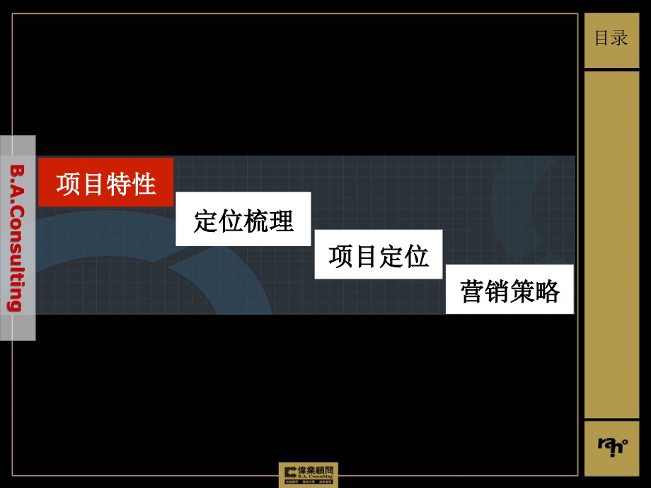 山东临沂君道聚才路项目提案报告学习资料_第2页