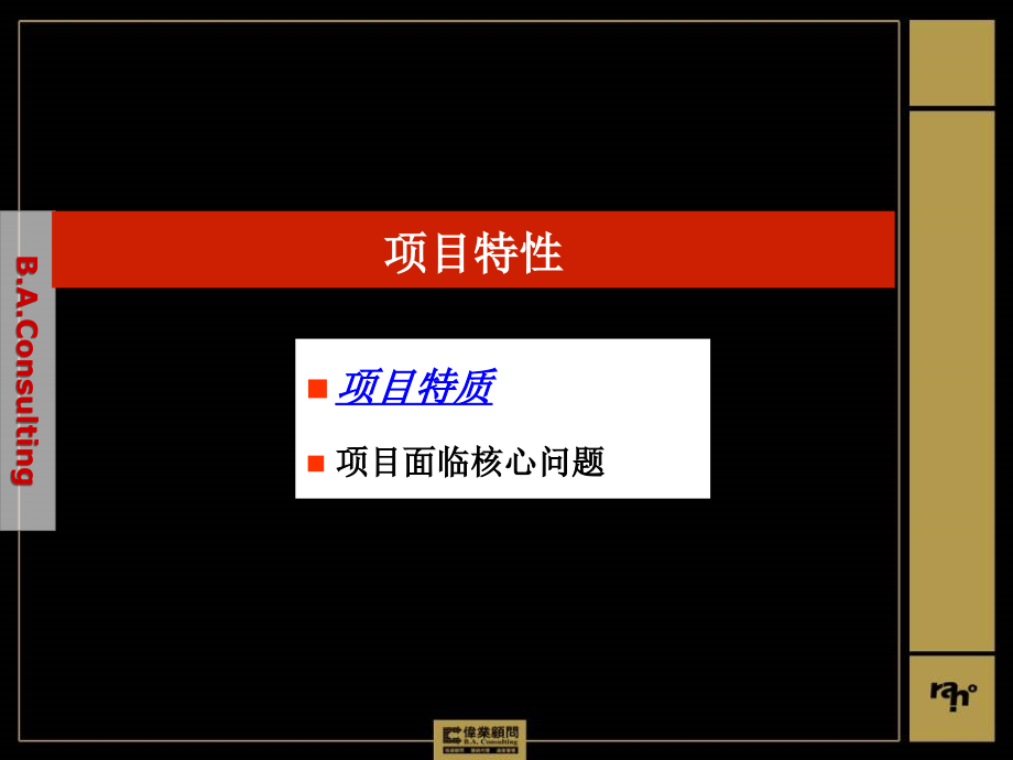 山东临沂君道聚才路项目提案报告学习资料_第3页