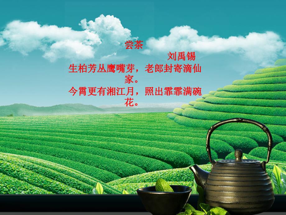 生活中的茶化学程北电子教案_第1页