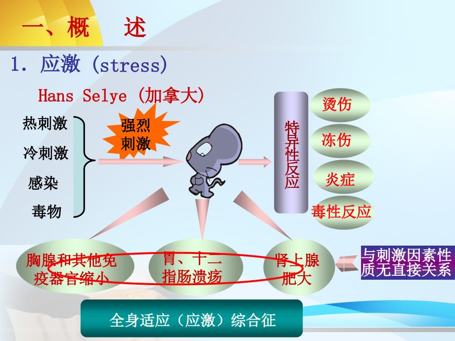 一章应激上课讲义_第2页