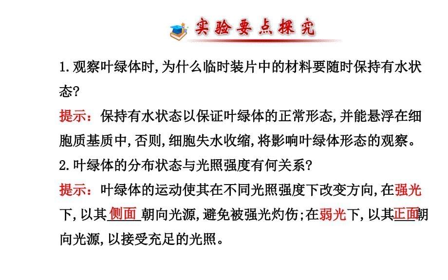 高中生物 第3章 实验用高倍显微镜观察叶绿体和线粒体课件 新人教版必修1_第5页