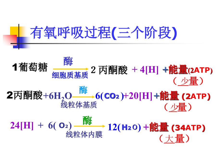 高中生物图片课件_第2页