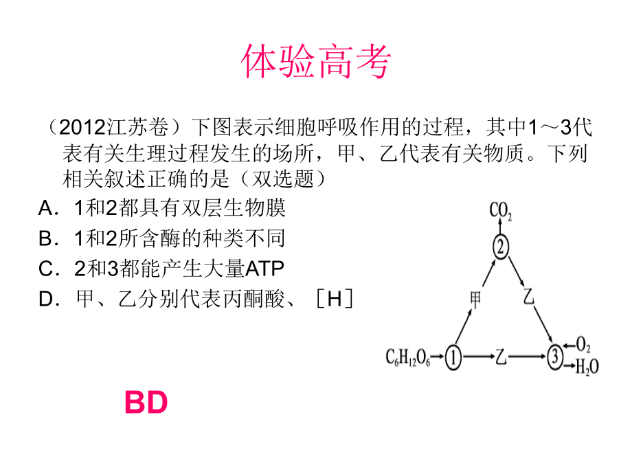 高中生物图片课件_第4页