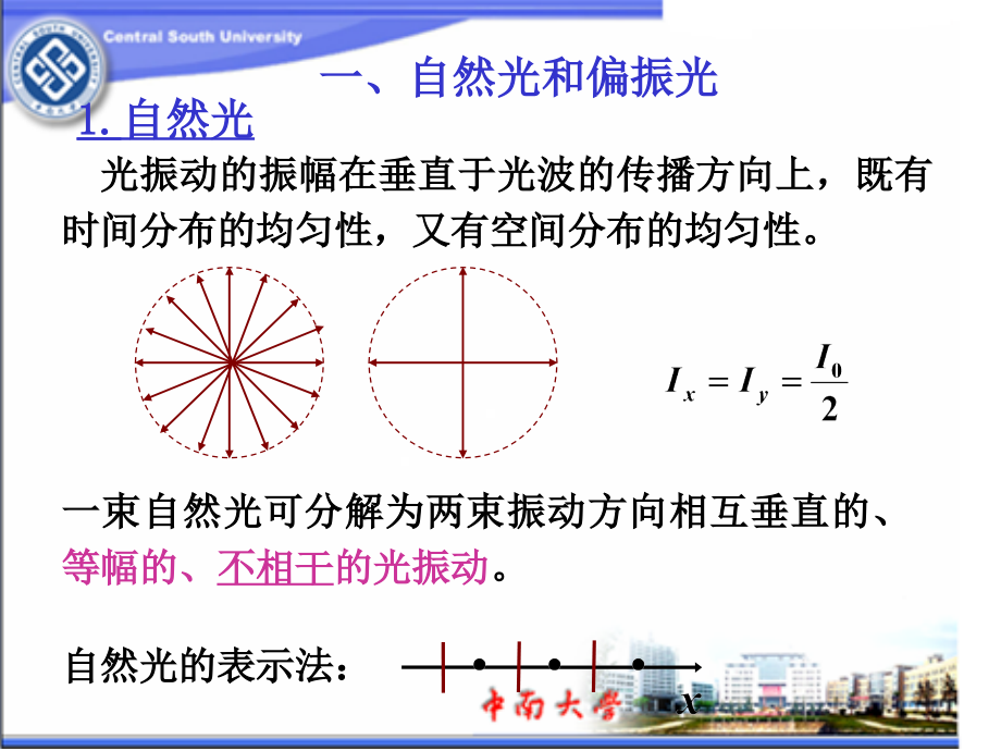 一自然光和偏振光课件备课讲稿_第2页