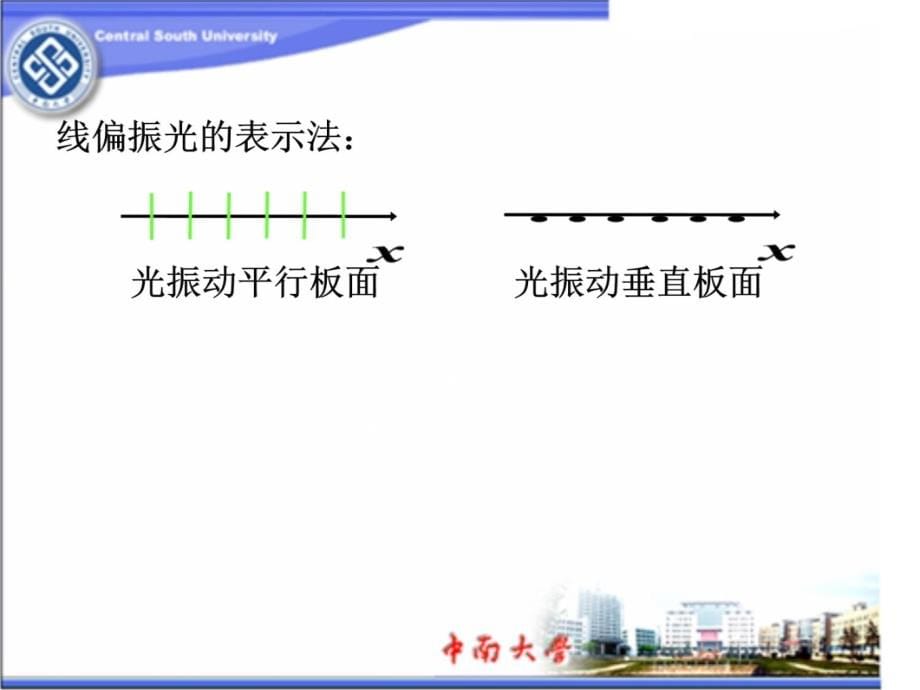 一自然光和偏振光课件备课讲稿_第5页