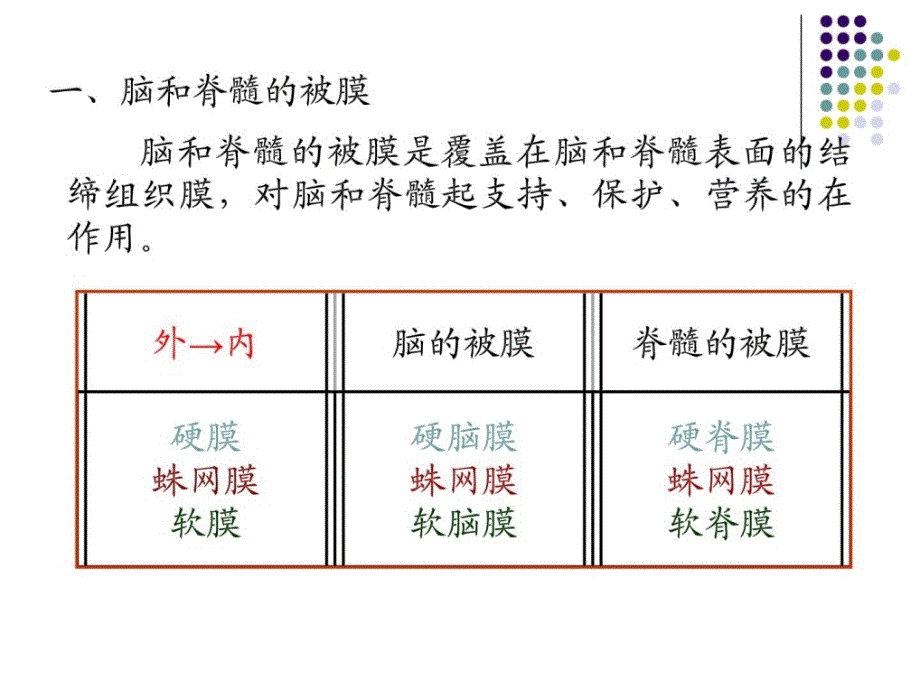 脑脊髓被膜、脑脊液循环课件_第3页