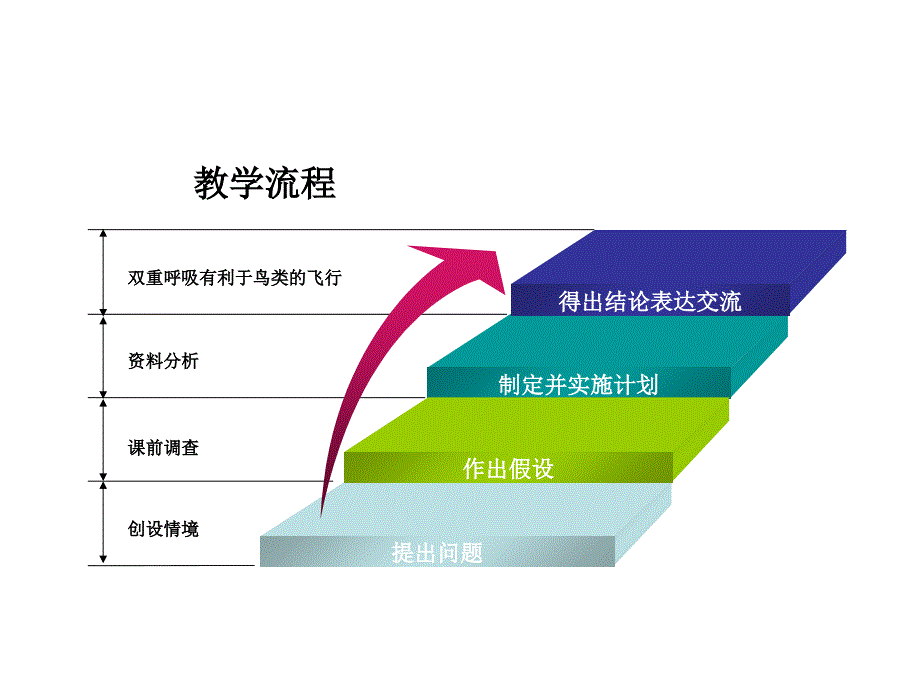 鸟类双重呼吸课件_第4页