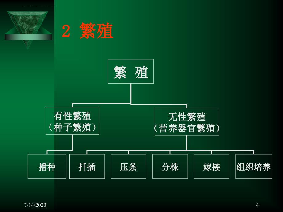 花卉苗木栽培技术课件_第4页