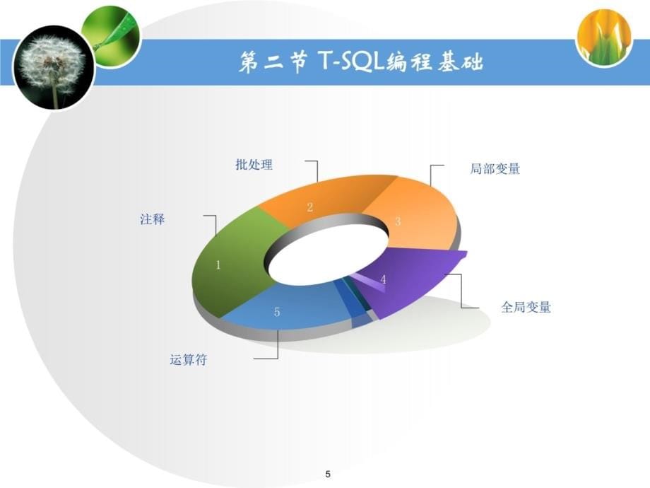 第十章T-SQL程序设计研究报告_第5页