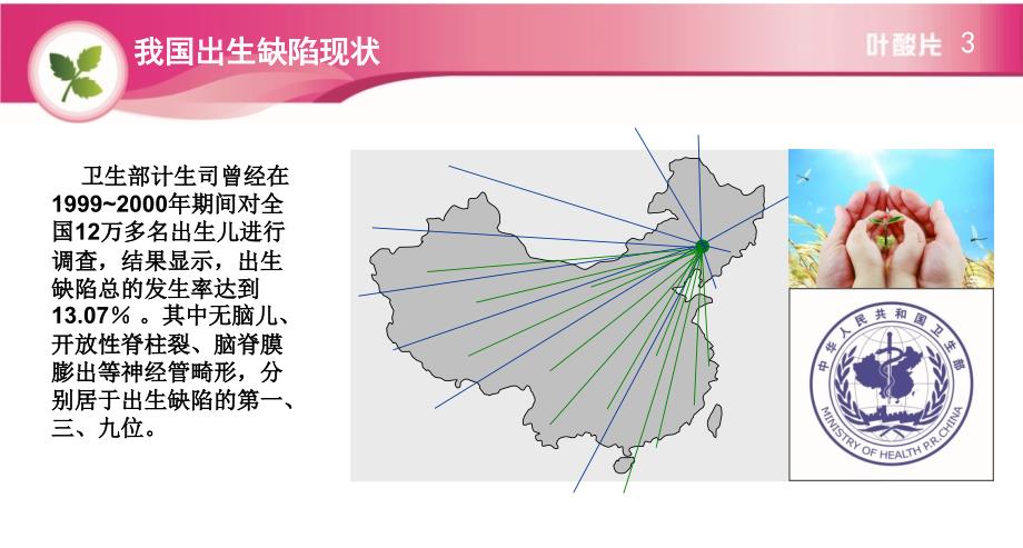 讲座12-增补叶酸知识课件_第4页