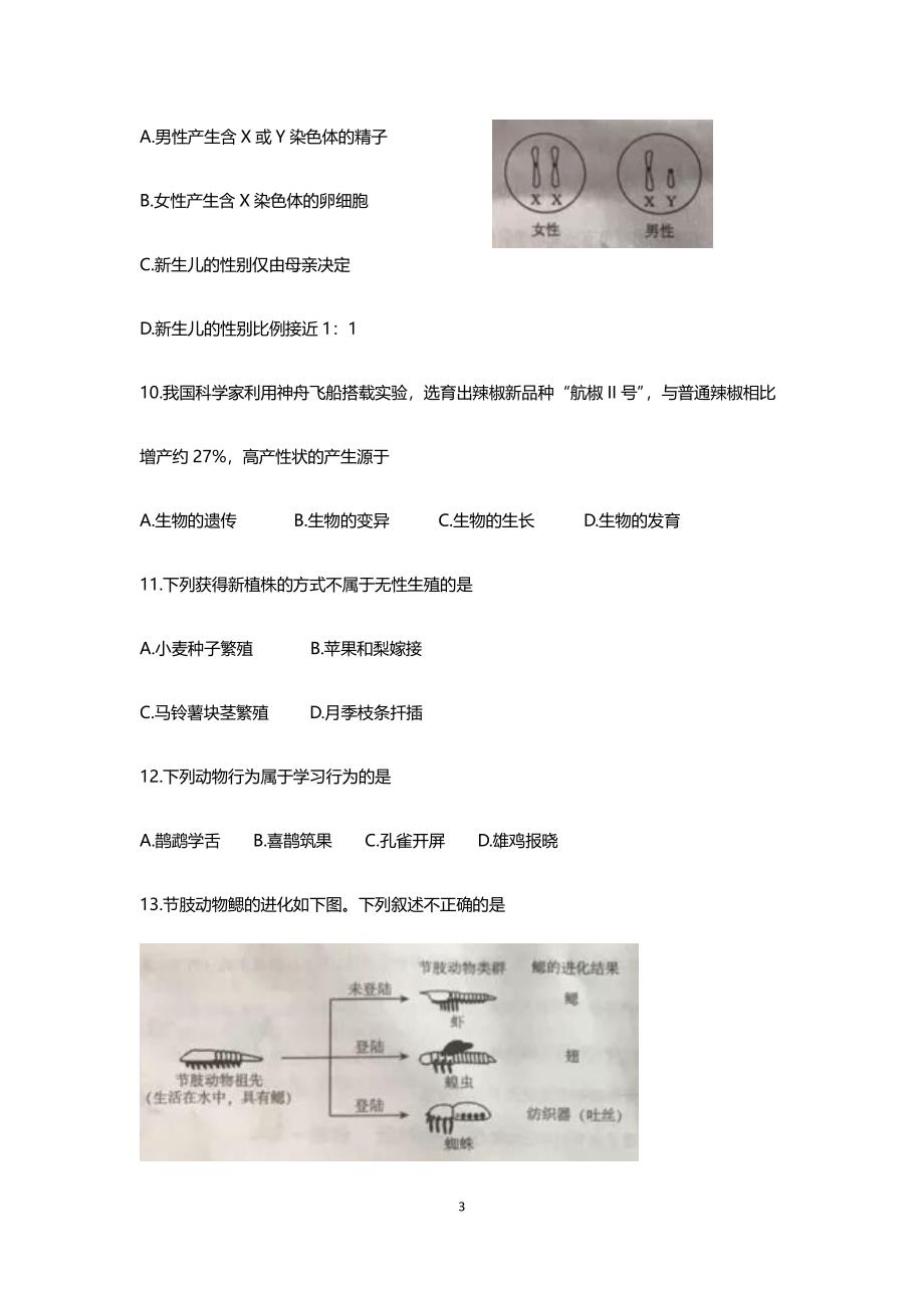 北京市中考生物试题、答案解析.pdf_第3页