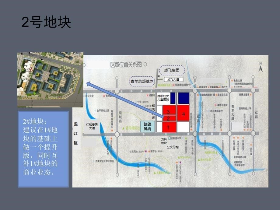 大型城市综合体项目商业定位及规划建议(下)知识分享_第5页