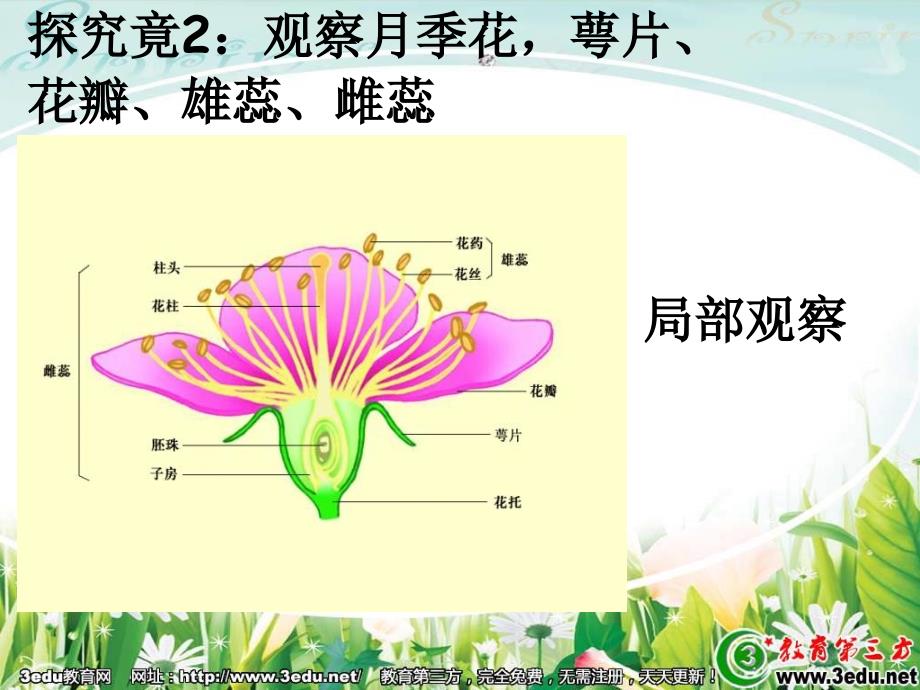 第二学会观察学习资料_第3页