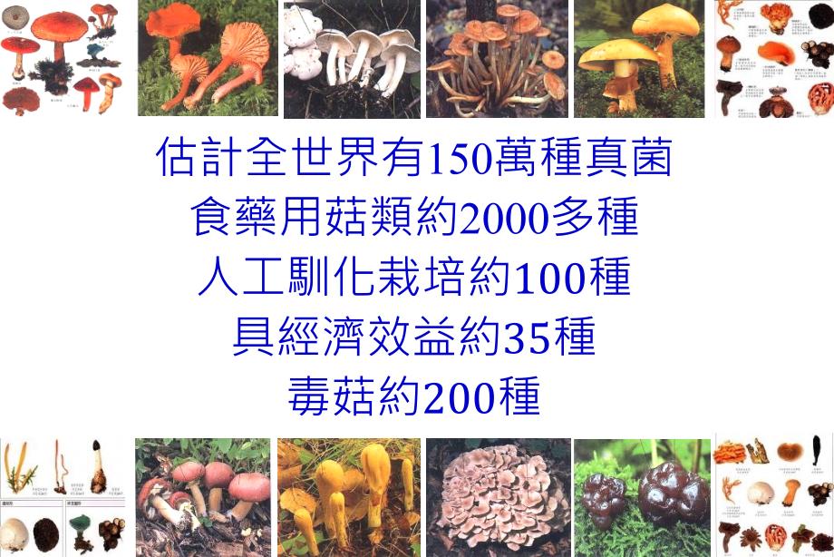 菇类栽培模式与应用课件_第4页