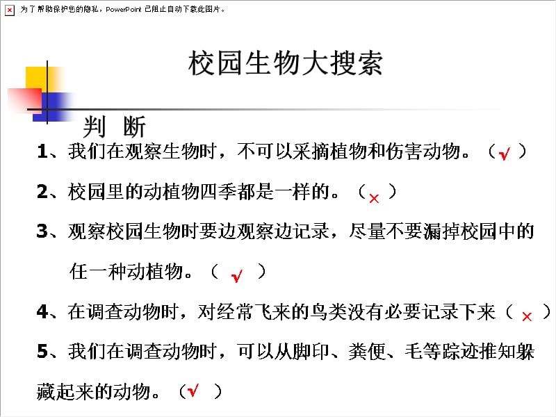 教科版科学六上能量与太阳课件讲课资料_第3页