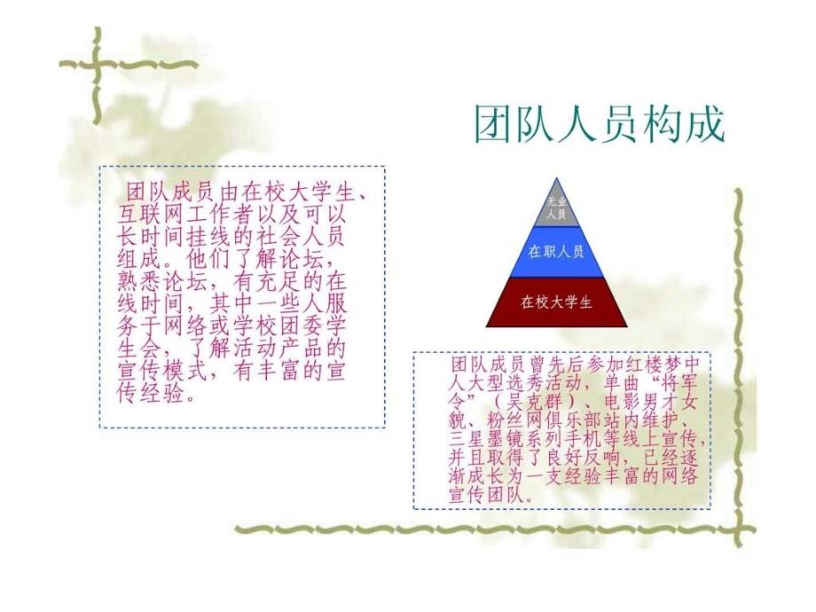 论坛营销推广团队执行方案图文课件_第3页