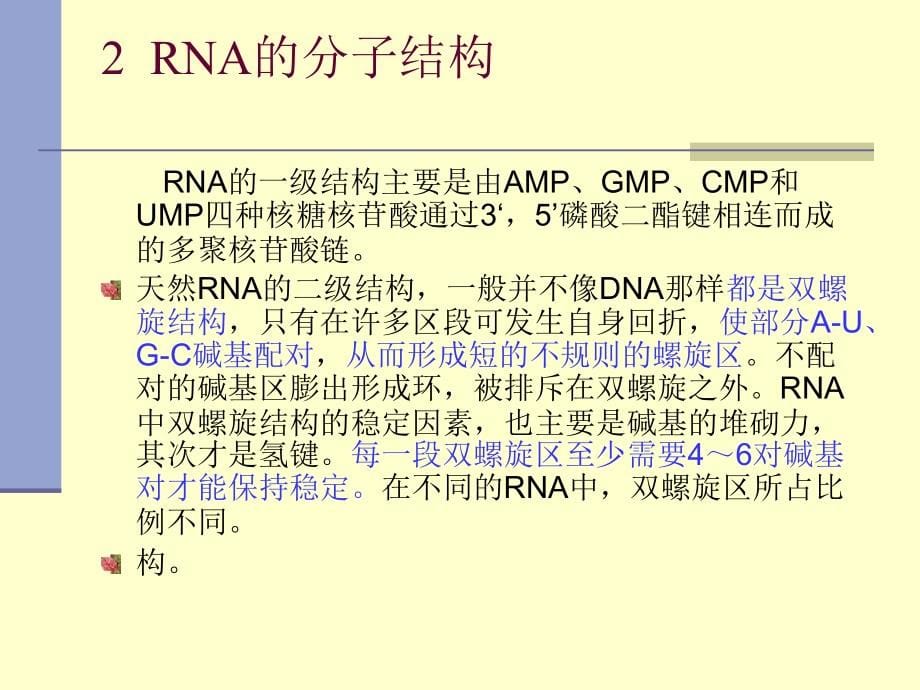 转录基本知识课件_第5页