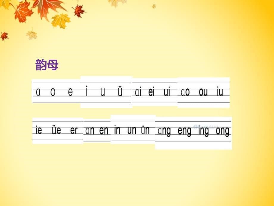 微课《音序查字法》课件[共28页]_第5页