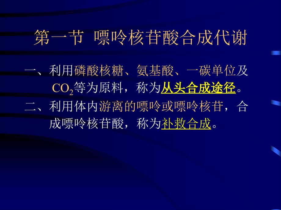 九章核苷酸代谢说课讲解_第4页