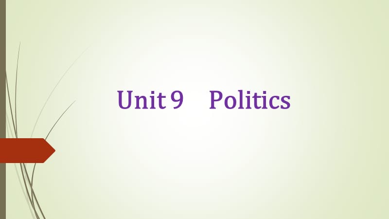 泛读4 Unit 9 politics_第1页