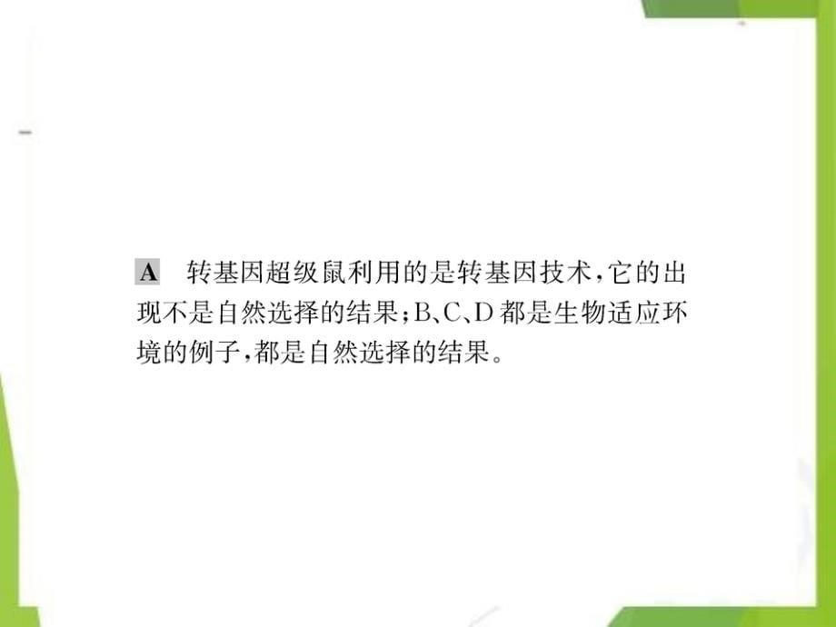 八年级生物下册7.3.3生物进化的原因习题课件新版新人教版_第5页