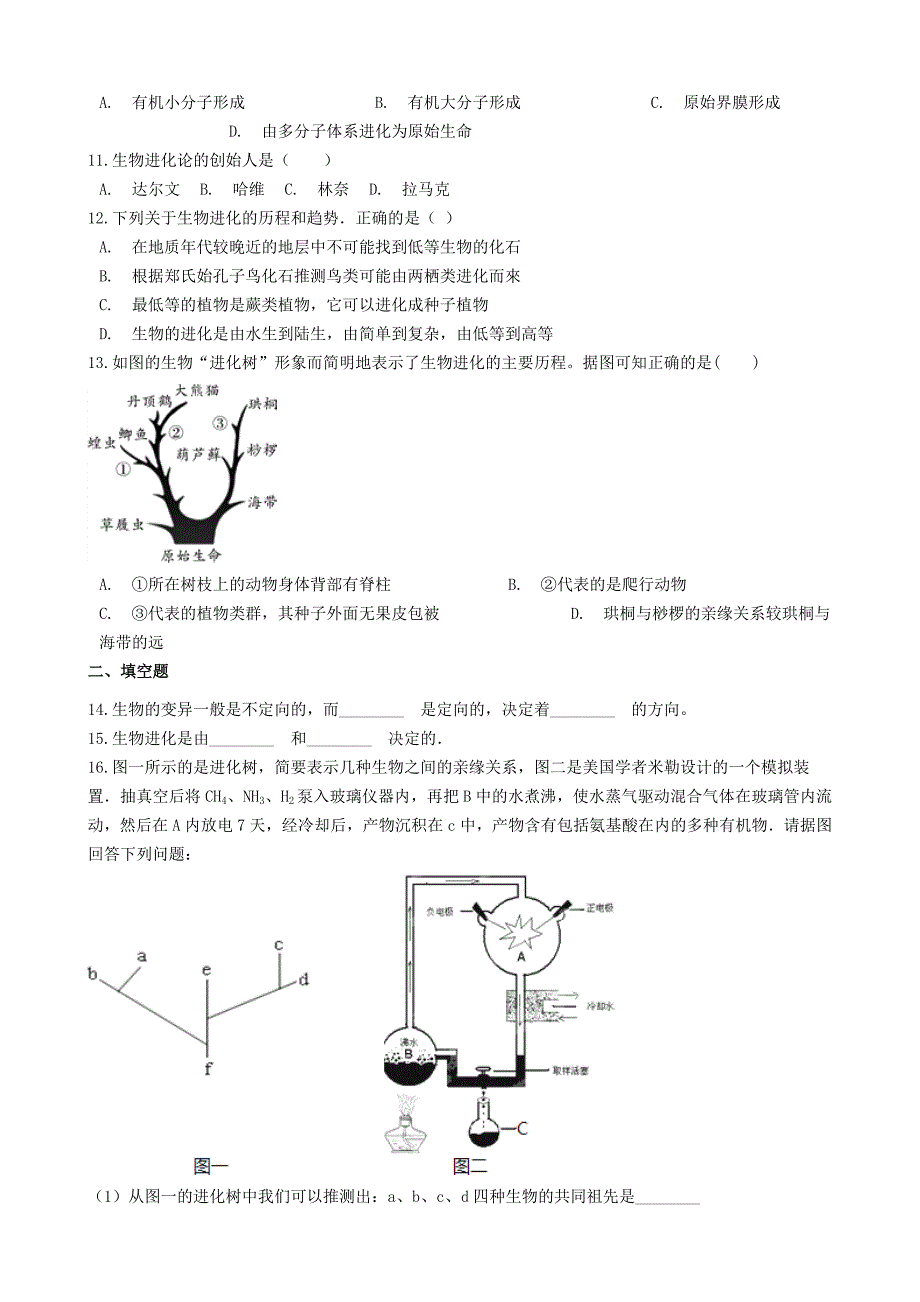 2019年八年级上册 5.16生命起源和生物进化【含解析】.doc_第2页