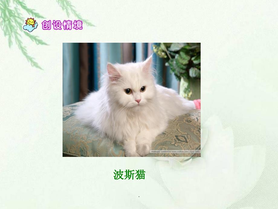 《猫课件》_第3页