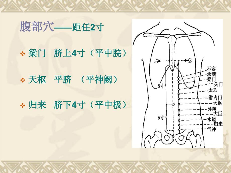 针灸学-经络腧穴各论-足六经穴课件_第4页